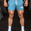 V2 FLEX Shorts – Cobalt