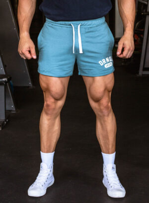 V2 FLEX Shorts – Cobalt